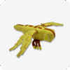 Dragonfly Plush 2 1